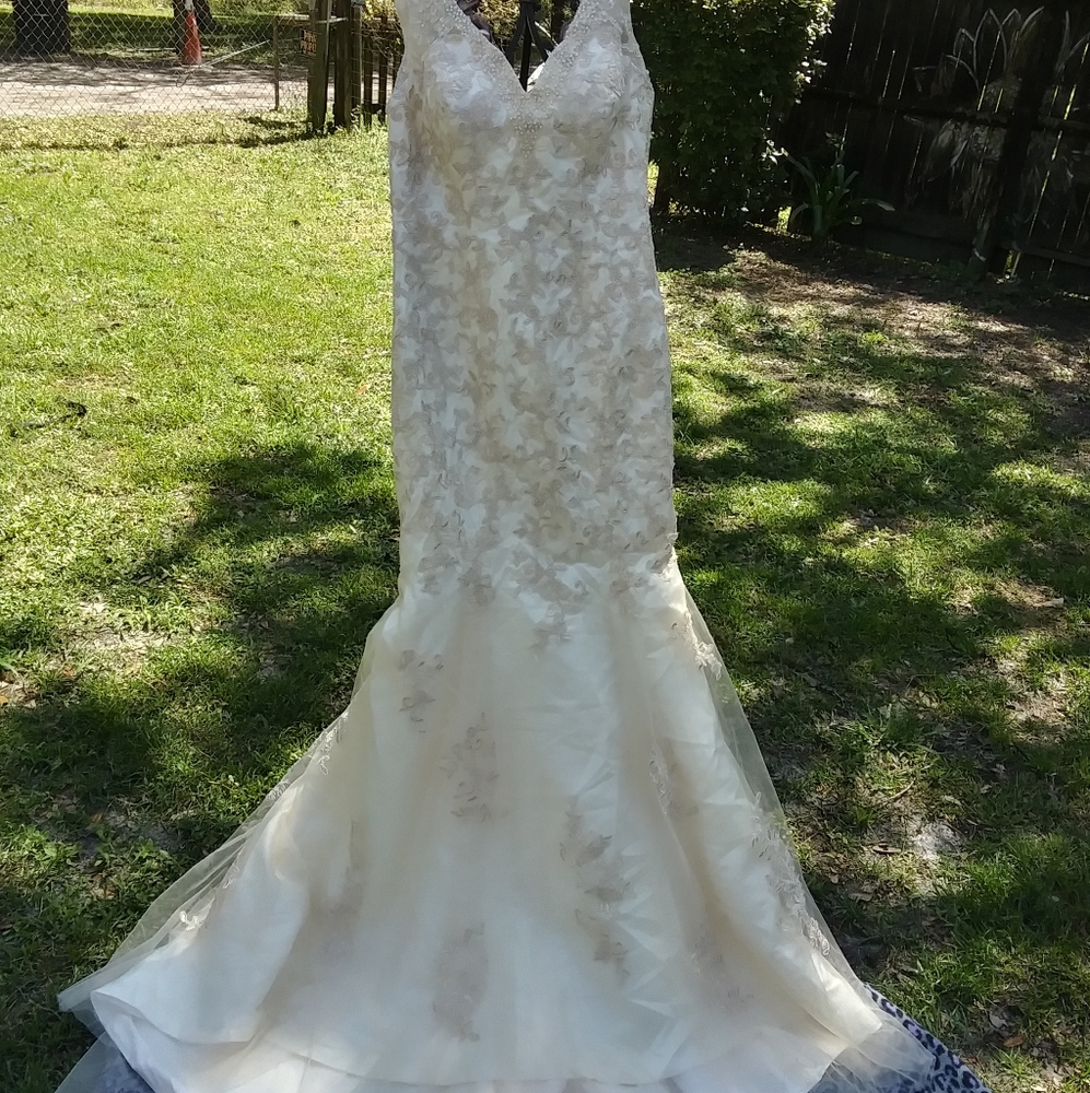 Beautiful Wedding dress